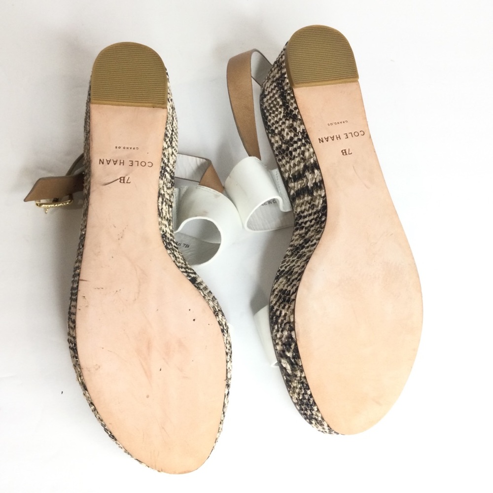 Cole Hahn Python Shoes - Picture 5 of 8